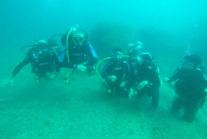Catania: Private SSI Scuba Diving Lesson