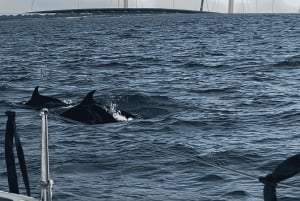 Catania: Segeltur med brunch och badstopp (4 timmar)