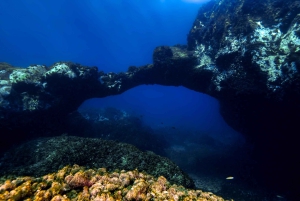 Catania: Scuba Diving Experience