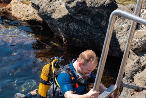 Catania: Scuba Diving Experience