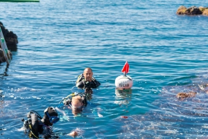 Catania: Scuba Diving Experience