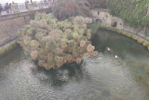 Catania: Rondleiding door Syracuse, Ortigia en Noto