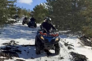 Catania Kahden tunnin mönkijäkierros Etnalla oppaan kanssa