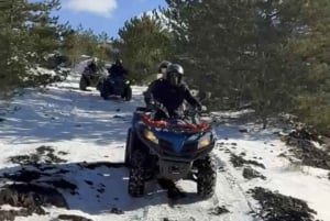 Catania To timers tur på firhjuling på Etna med guide