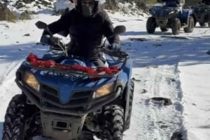 Catania To timers tur på firhjuling på Etna med guide