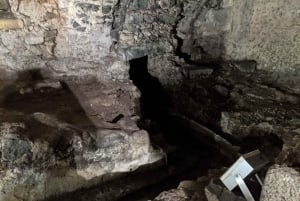 Catania: Vandretur med undergrunds- og gademad