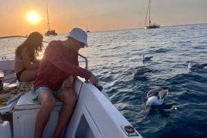 Cefalù: Veneily Cefalùn rannikolla aperitiivilla ja snorklaamalla