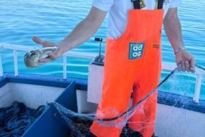 Cefalù: boat trip with fishing, coastal tour, and lunch on board with the catch