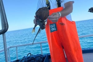 Cefalù: boat trip with fishing, coastal tour, and lunch on board with the catch