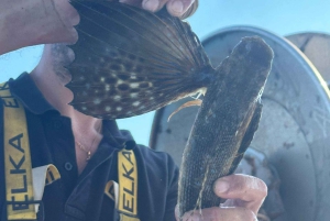 Cefalù: båttur med fiske, kusttur och lunch ombord med fångsten