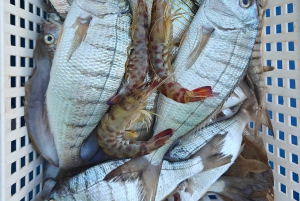 Cefalù: båttur med fiske, kusttur och lunch ombord med fångsten