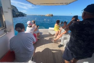 Cefalù: Venematka snorklaamalla, tuoreilla hedelmillä ja juomilla varustettuna