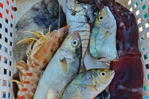 Cefalù: boat trip with fishing, coastal tour, and lunch on board with the catch