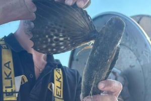 Cefalù: boat trip with fishing, coastal tour, and lunch on board with the catch