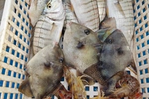 Cefalù: boat trip with fishing, coastal tour, and lunch on board with the catch