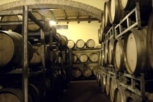 Cefalù: Excursão de degustação de vinhos de meio dia em Castelbuono
