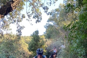 Cefalù:Madonie e-mountain bike tour