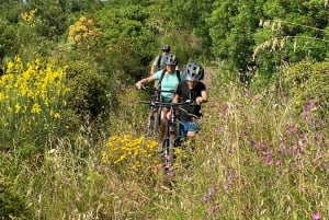 Cefalù:Madonie e-mountain bike tour