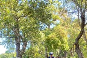 Cefalù:Madonie e-mountain bike tour