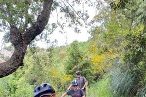 Cefalù:Madonie e-mountain bike tour