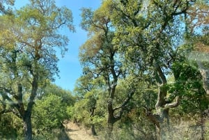 Cefalù:Madonie Park Jeep Avontuur