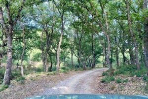 Cefalù:Madonie Park Jeep Avontuur