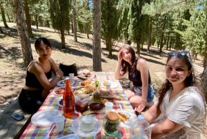 Cefalù:Madonie Park Jeep Avontuur