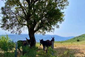 Cefalù:Madonie Park Jeep Avontuur