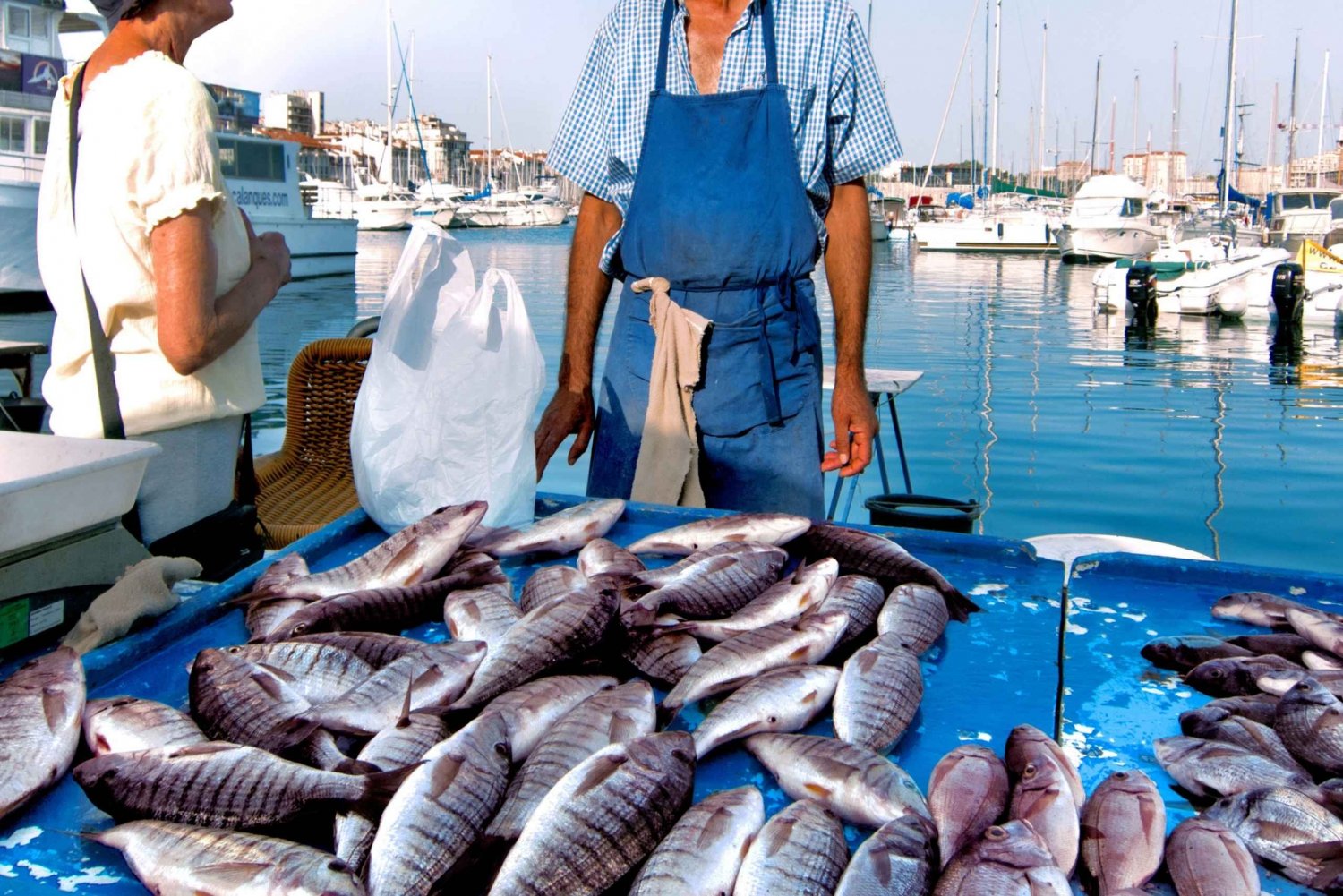 Cefalù: Market Tour and 4-Course Meal in Sicily