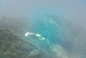 Cefalù: Mini Iate com paragens para snorkeling, grutas e aperitivo