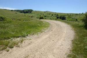 Cesarò: Full Day Tour of Nebrodi Park in a 4x4