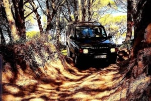 Cesarò: Dagvullende tour in Nebrodi Park in een 4x4