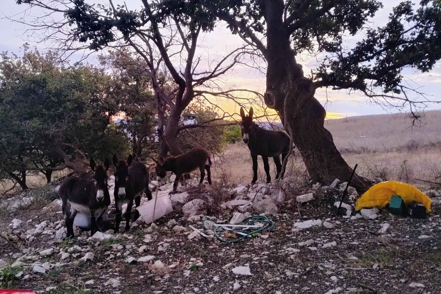 Контесса-Энтеллина: треккинг по тропе красоты