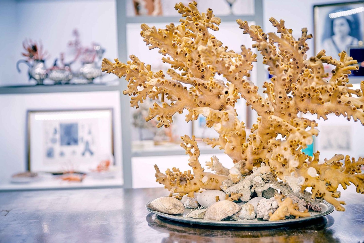 Korallverksted og besøk på museet i Sicacca