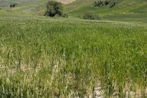 Enna, Sicile : promenade à cheval sur les sentiers de l'arrière-pays