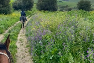 Enna, Sicile : promenade à cheval sur les sentiers de l'arrière-pays