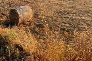 Enna, Sicile : promenade à cheval sur les sentiers de l'arrière-pays