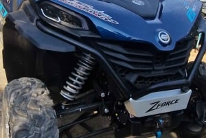 Side-by-side-udflugt til Terme Segestane