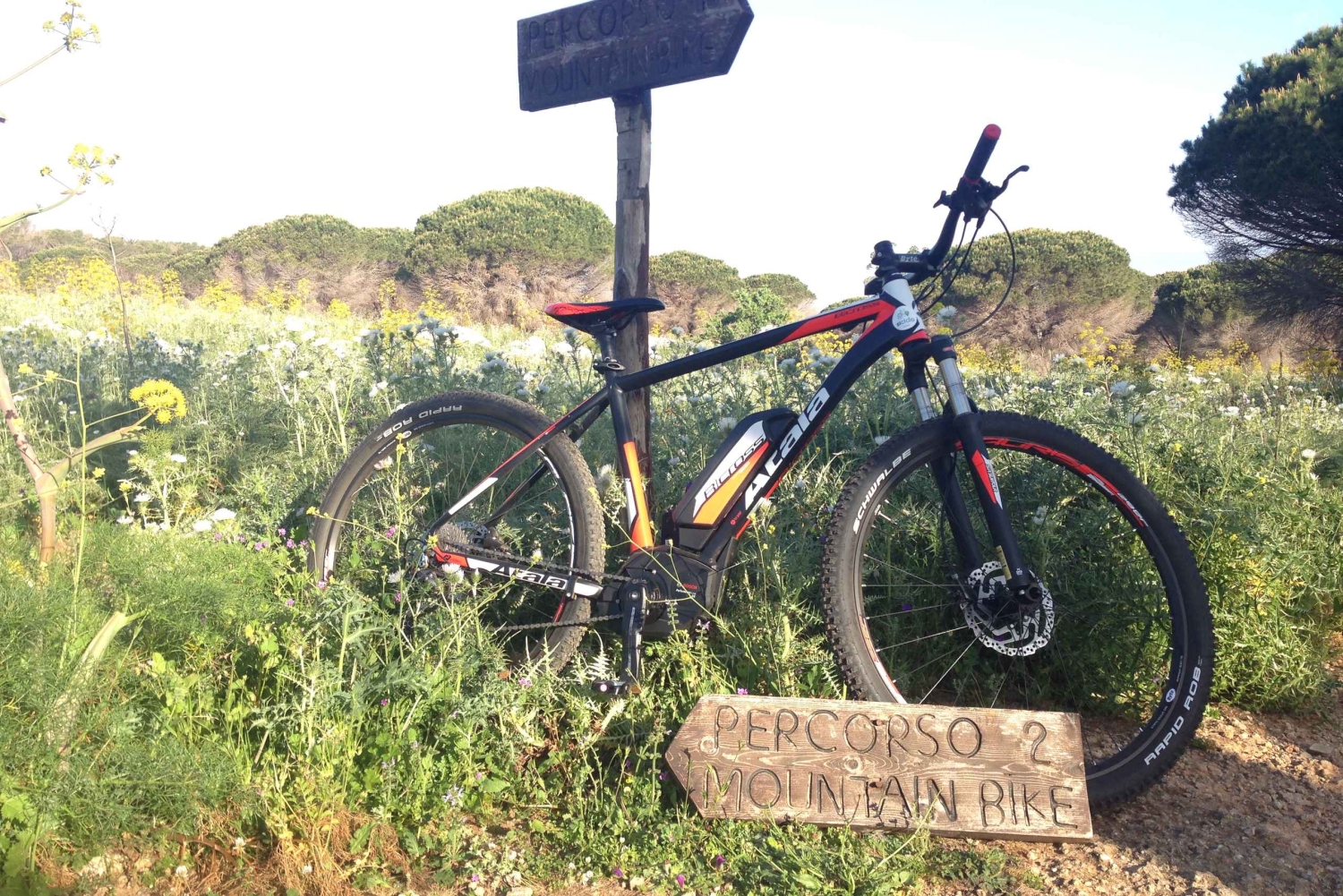 Découvrez le MtPellegrino avec une visite guidée PRIVÉE à vélo