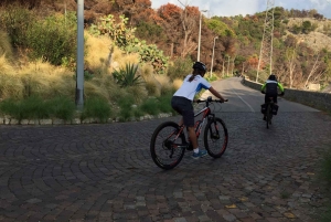 Découvrez le MtPellegrino avec une visite guidée PRIVÉE à vélo