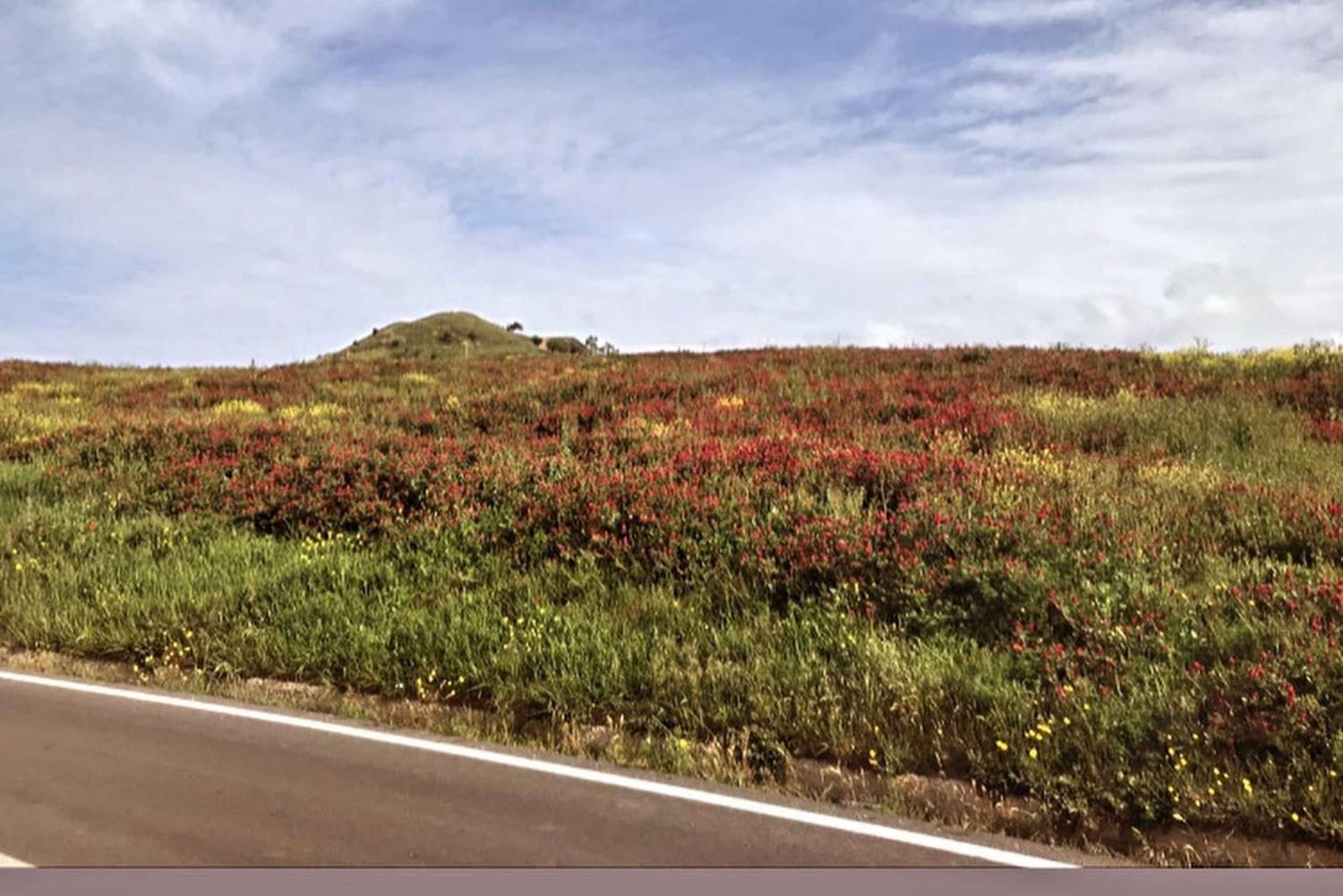 マルカトビアンコ村を訪問し、チーズ作りに挑戦しましょう