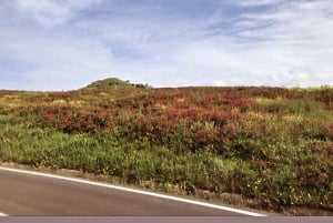 マルカトビアンコ村を訪問し、チーズ作りに挑戦しましょう