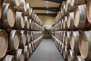 Weingut Duca di Salaparuta: Duca's Excellences Tour