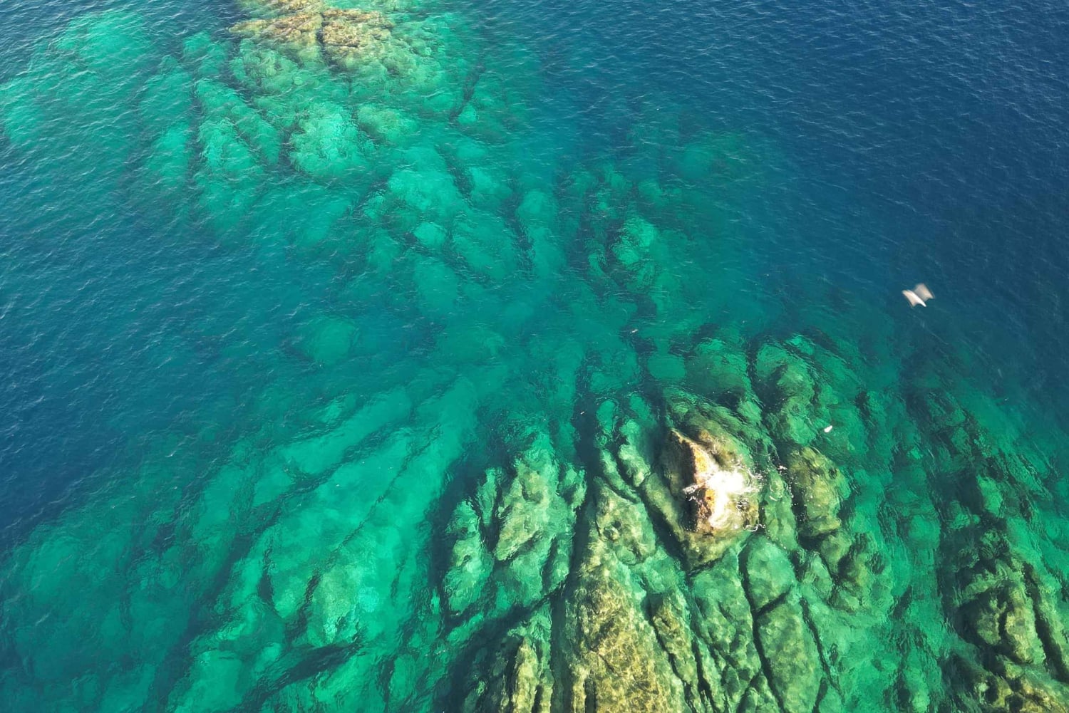 Palermo Este: excursión en barco entre cuevas y paisajes impresionantes