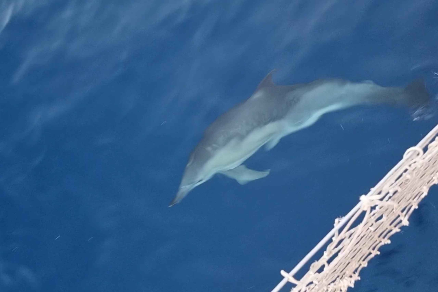 Palermo Este: excursión en barco entre cuevas y paisajes impresionantes
