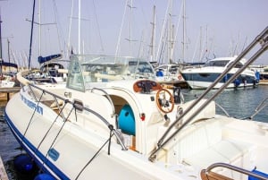 Egadi Islands Day Trip: A day on a rubber dinghy in Trapani, Favignana, and Levanzo