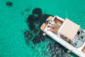 Egadi Premium Experience: Relaxation, Firriato wine, and crystal clear waters