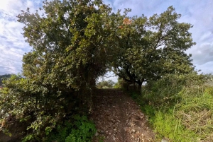 Enduro Tour Sicily | For All Levels