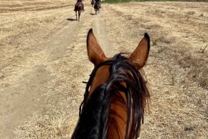 Enna: przejażdżka konna z aperitifem i malowniczymi widokami