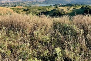 Enna: przejażdżka konna z aperitifem i malowniczymi widokami